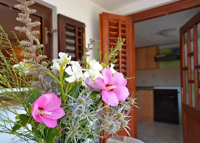 Apartment Joza *