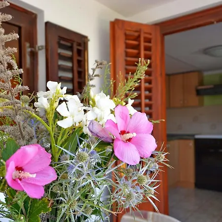 Appartement Joza *